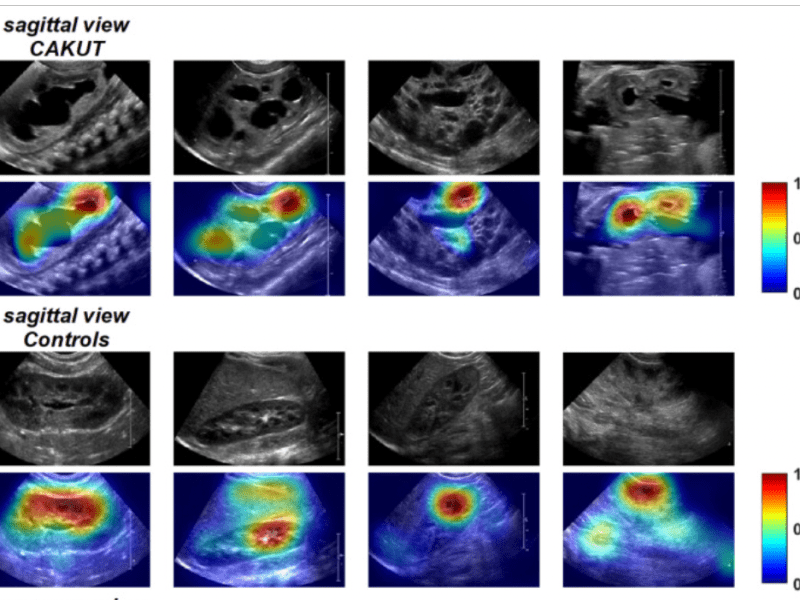 Yin et al.&nbsp;(2020)