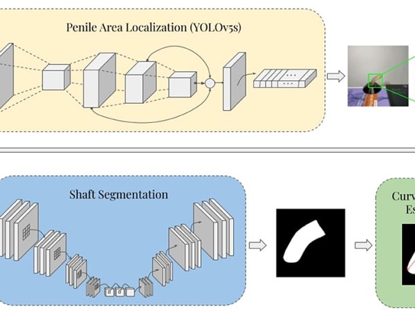 Abbas et al.&nbsp;(2022)