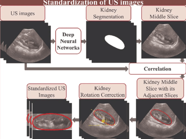 Roshanitabrizi et al.&nbsp;(2021)