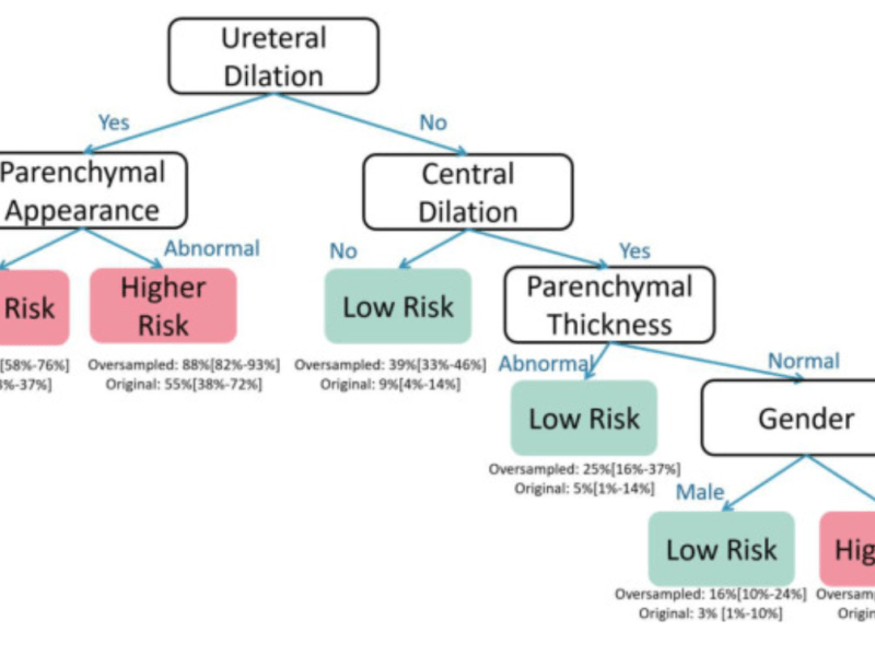 Wang et al.&nbsp;(2024)
