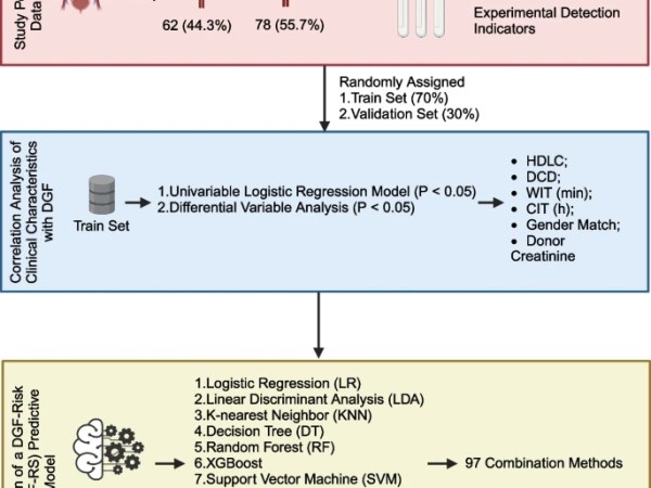 Liu et al.&nbsp;(2024)