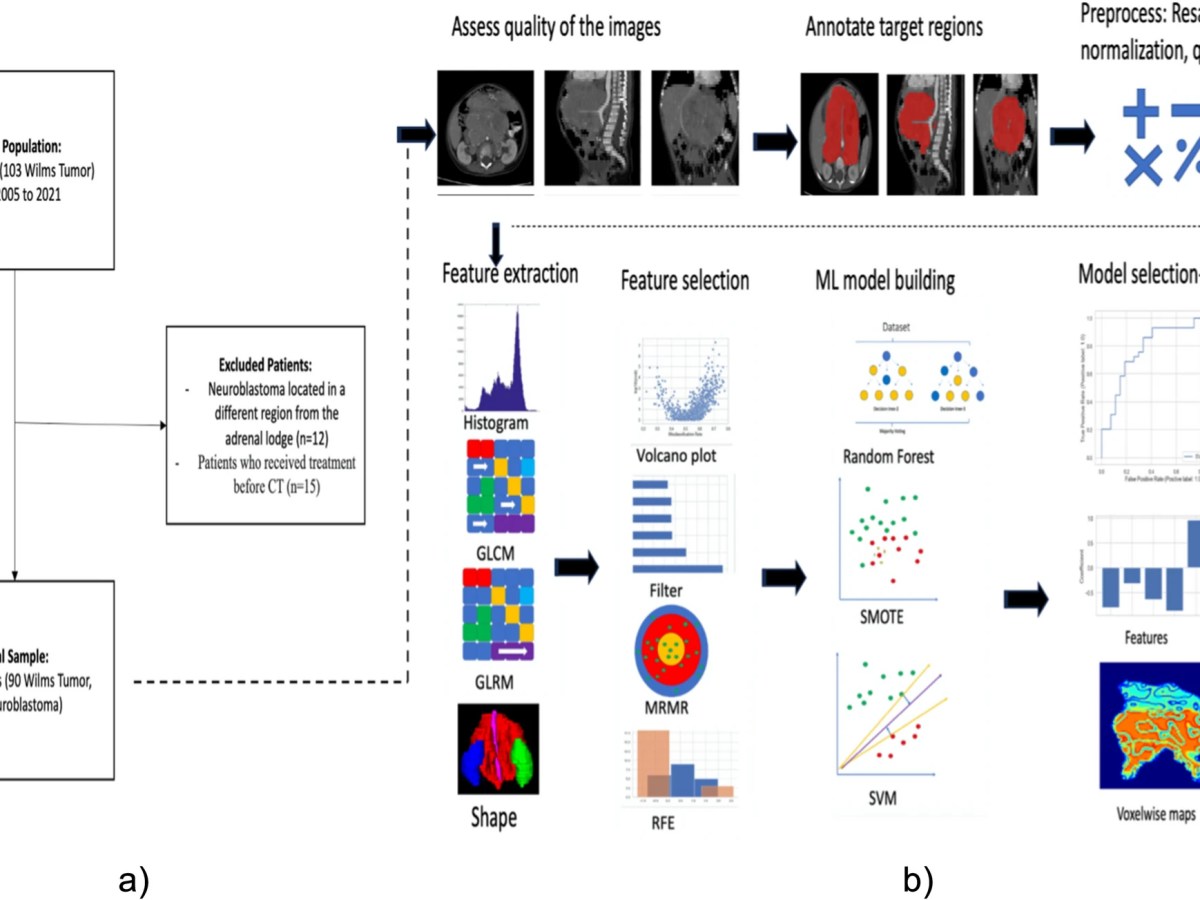 Koska et al.&nbsp;(2024)