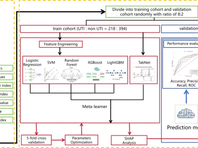 Wang et al.&nbsp;(2025)