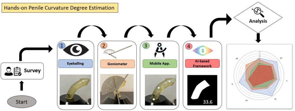 Abbas et al.&nbsp;(2024)