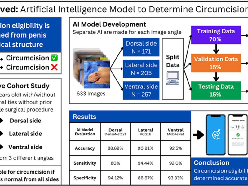 Wahyudi et al.&nbsp;(2025)