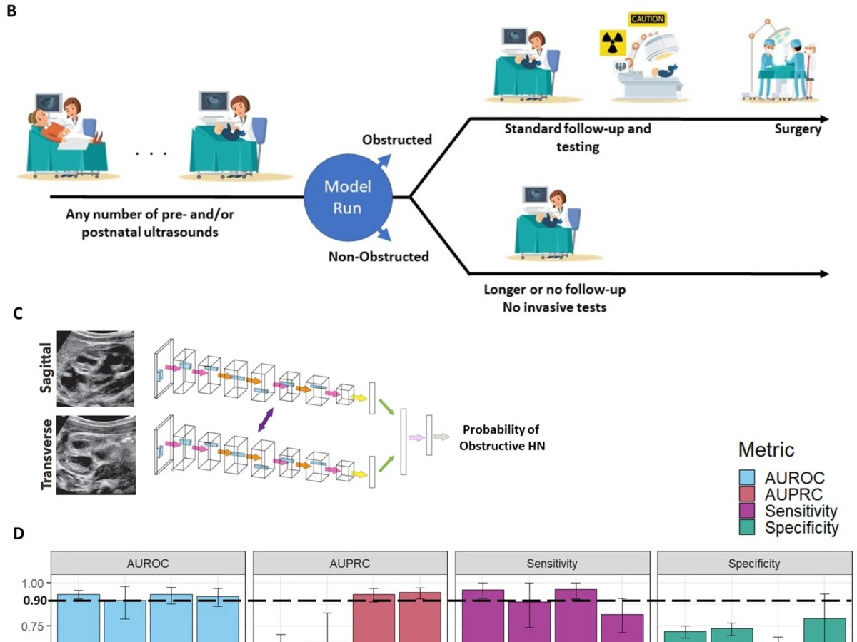 Erdman et al.&nbsp;(2024)
