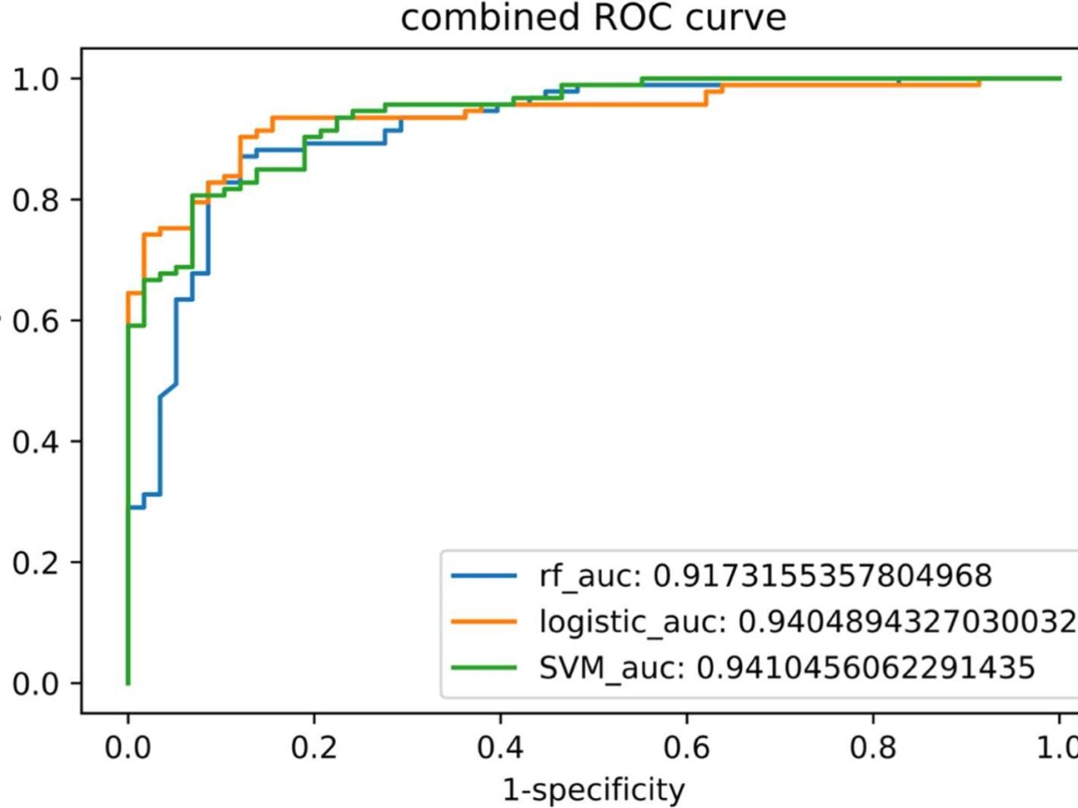 Huang et al.&nbsp;(2025)