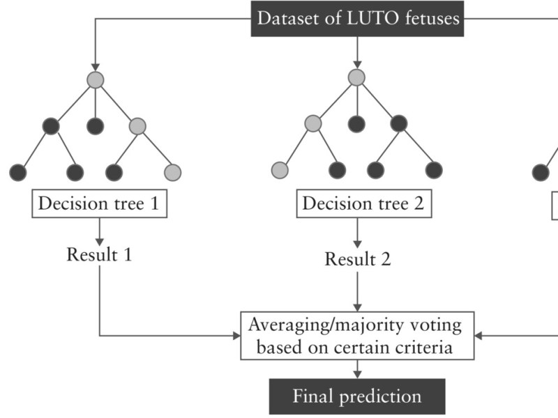 Richter et al.&nbsp;(2024)
